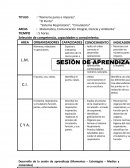 Matemática, Comunicación Integral, Ciencia y Ambiente