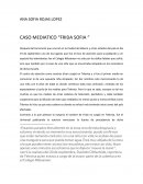 CASO MEDIATICO “FRIDA SOFIA “