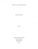 TEORIA DE LAS RELACIONES HUMANAS