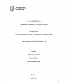 Sostenibilidad Ambiental y Responsabilidad Social Empresarial