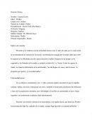 Historia Clinica "Despertares"