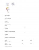 Entrevistas psicológicas formato