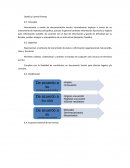 Diseño y Control Formas