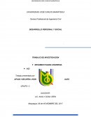 TRABAJO DE INVESTIGACION DESARROLLO PERSONAL Y SOCIAL