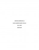 Ensayo de la Adopción homosexual