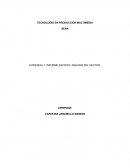 IMPORTANCIA DE LA PRODUCCIÓN MULTIMEDIA Y SU IMPACTO EN LOS SECTORES DE TALLA MUNDIAL.