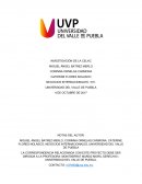 INVESTIGACIÓN DE LA CELAC