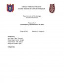 Práctica No. 1 “Aislamiento y caracterización de DNA”