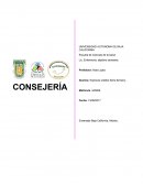 INTERVENCION EN CRISIS POR LOS PROFESIONALES DE LA SALUD