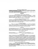 PETICIÓN DE AMPARO NUEVO