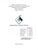 PARADIGMA CRÍTICO – REFLEXIVO Y POSITIVISTA