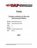 Monografista Derecho Internacional Publico