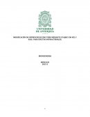 MODIFICACIÓN DE SUPERFICIES DE ZINC PURO MEDIANTE ATAQUE CON HCL Y H2SO4 PARA EFECTOS ANTIBACTERIALES.