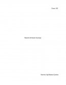 Reporte del Museo Soumaya