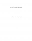 Actividad de aprendizaje: Trabajo de campo