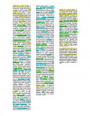 AUDITORIA EN EL SECTOR PRIVADO