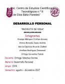 CUALES SON LAS FASES DEL PROYECTO DE VIDA