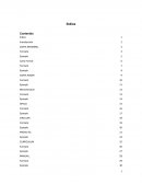 Documentos Tecnicos y Ejecutivos