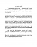 Obesidad INTRODUCCIÓN.