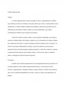 Cultura Organizacional Análisis