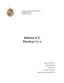 Práctico n°3: Determinación del grado alcohólico con cromatografía de gases