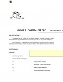 UNIDAD 3 : “ALGEBRA, POR FIN”