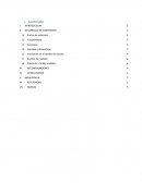 Cocinas de Induccion