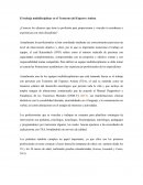 El trabajo multidisciplinar en el Trastorno del Espectro Autista