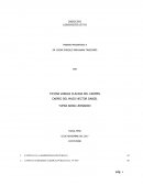 DECRETO LEGISLATIVO QUE REGULA EL RÉGIMEN ESPECIAL DE CONTRATACIÓN ADMINISTRATIVA DE SERVICIOS
