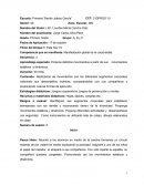 Planes Competencia que se manifiesta: Manifestación global de la corporeidad.