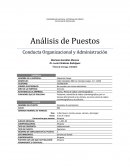 Análisis de Puestos Conducta Organizacional y Administración