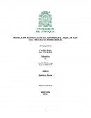 LA GRAN MODIFICACIÓN DE SUPERFICIES DE ZINC PURO MEDIANTE ATAQUE CON HCL Y H2SO4 PARA EFECTOS ANTIBACTERIALES