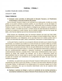 PARCIAL 1 PENAL 1 TEMAS TEÓRICOS. Página 1