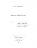 CAMINO MARISTA ‘’ La disciplina es el puente entre metas y logros’’