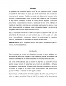SINDROME CONGESTION PELVICA