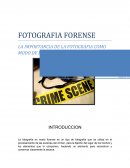 LA IMPORTANCIA DE LA FOTOGRAFIA COMO MODO DE PRUEBA