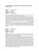 TRANSCRIPCIÓN ENTREVISTAS DE CONTAMINACIÓN DE LAS PLAYAS