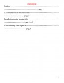 La adolescencia POR YAEL SULEM GALVAN HERNANDEZ.