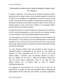 Conservación de obras de arte a través de radiación ionizante, rayos I.R, y rayos X