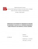 COMO SE DA LA FORMACION DE UNA BRIGADA DE EMERGENCIA EN MATERIA DE SEGURIDAD Y SALUD EN LA U.E. MERCEDES IZAGUIRRE DE CORRO UBICADA EN FLOR AMARILLO, ESTADO CARABOBO