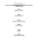 Tesis Sistemas Expertos