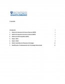 COMO SE SEGUNTA ENTREGA, DIAGNOSTICO EMPRESARIAL