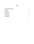 EL NUEVO AMPARO EN MATERIA PENAL