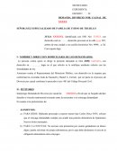 SEÑOR JUEZ ESPECIALIZADO DE FAMILIA DE TURNO DE TRUJILLO