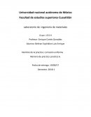 Observar el fenómeno de la corrosión en metales inmersos en un medio corrosivo.