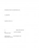 Como se da un Informe de Practicas de TECSUP