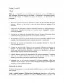 Ensayo sobre la EcologíaEcología Forestal II