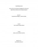 Pensamiento Estratégico y Gerencia Global