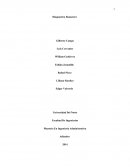 El nuevo Trabajo diagnostico fionanciero