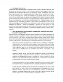 ENFOQUE DE VENTAS - IBM